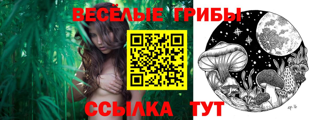 Реутов  Псилоцибиновые грибы Psilocybe  Вход с VPN  Псилоцибиновые грибы Psilocybe 