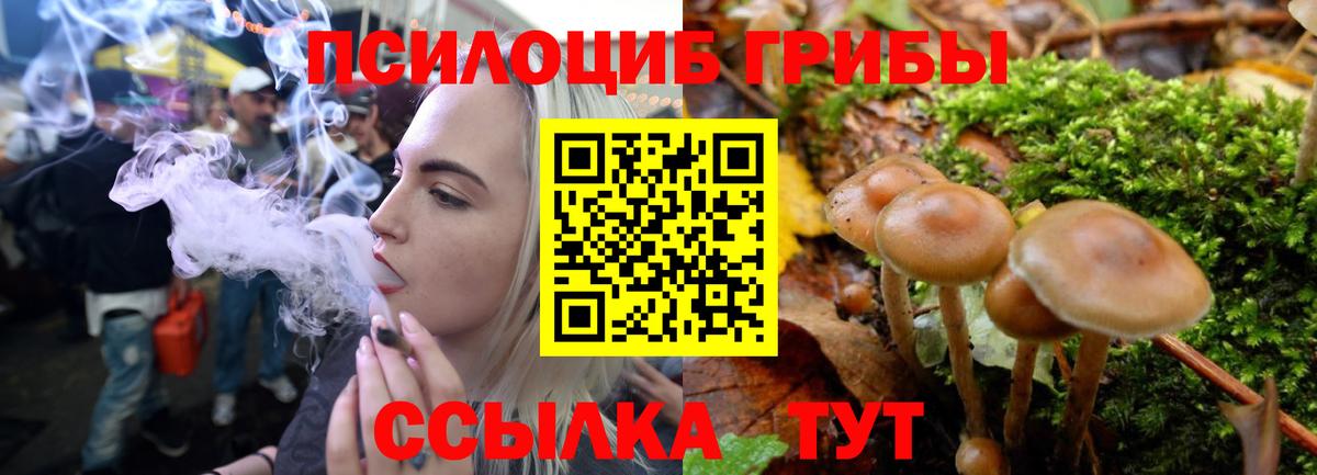 Псилоцибиновые грибы Psilocybine cubensis Реутов